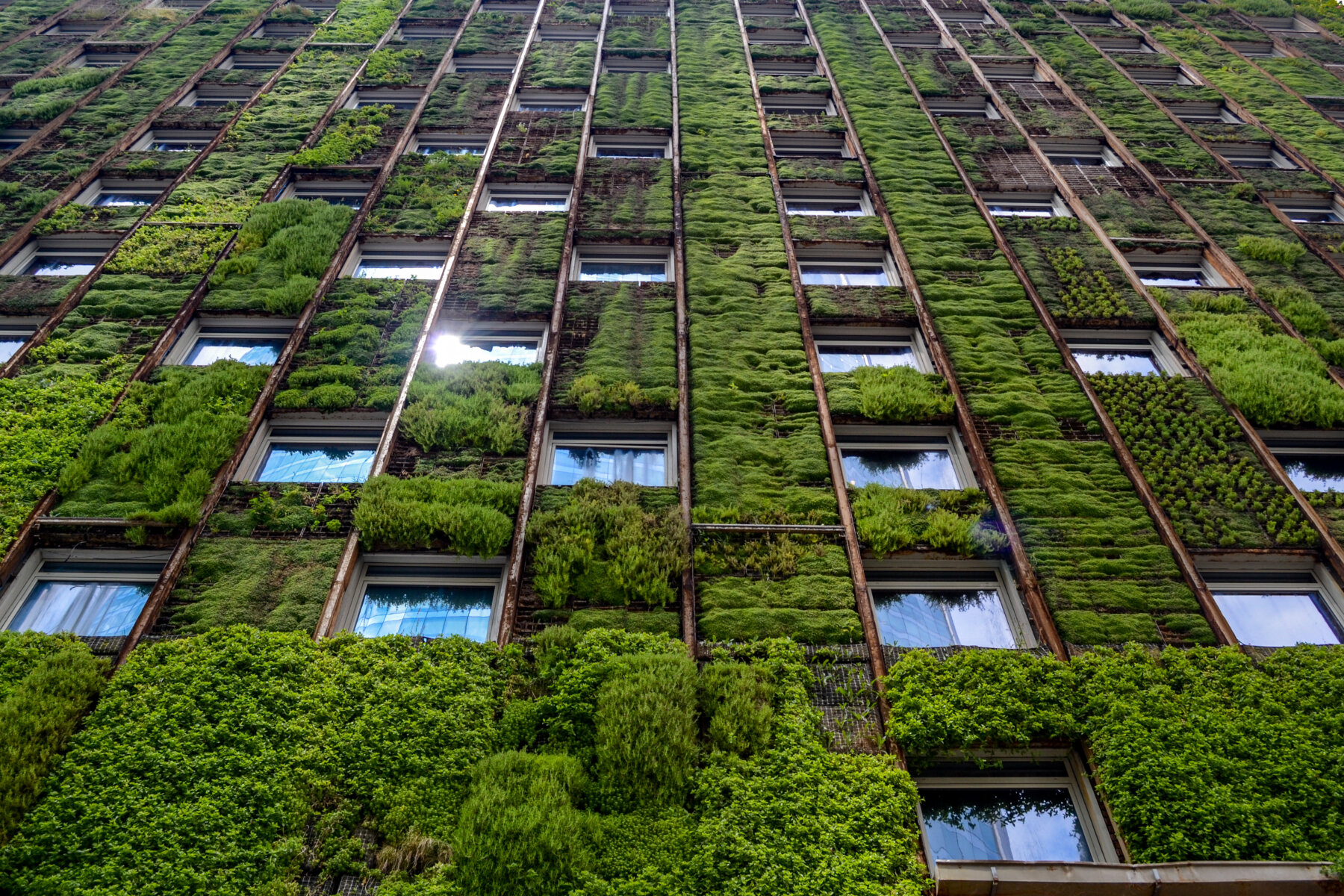World Green Building Council